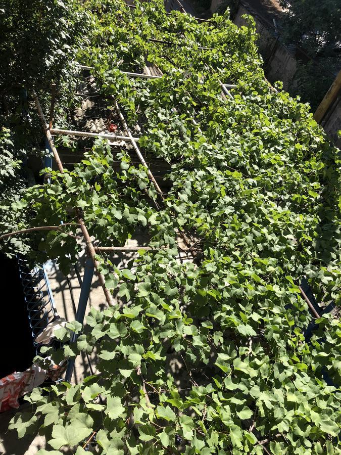 Lucky Family Hotel Tbilisi Zewnętrze zdjęcie