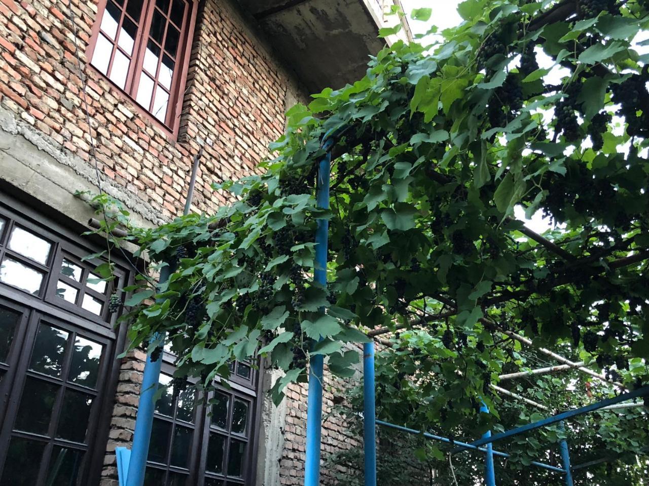 Lucky Family Hotel Tbilisi Zewnętrze zdjęcie