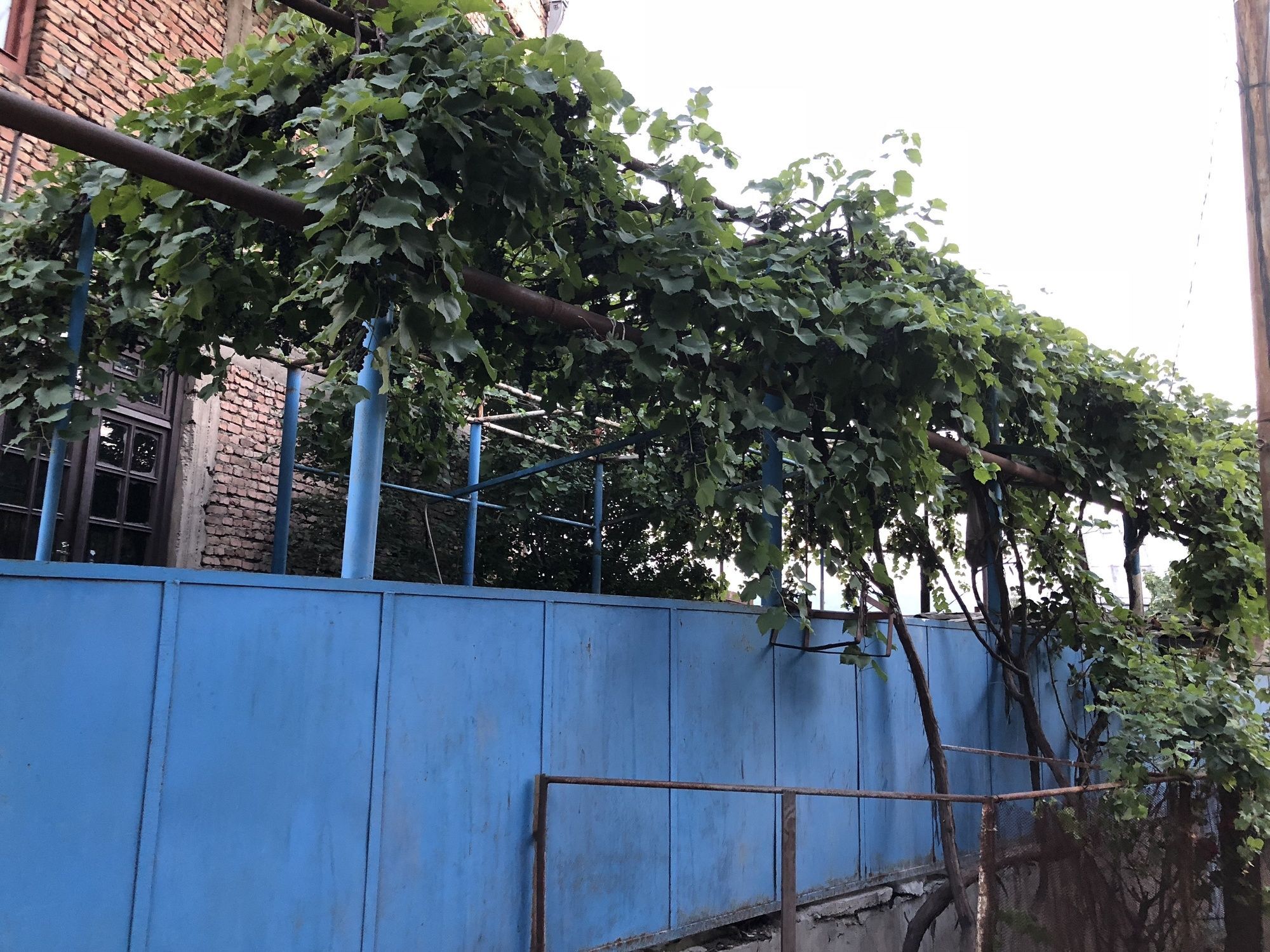 Lucky Family Hotel Tbilisi Zewnętrze zdjęcie