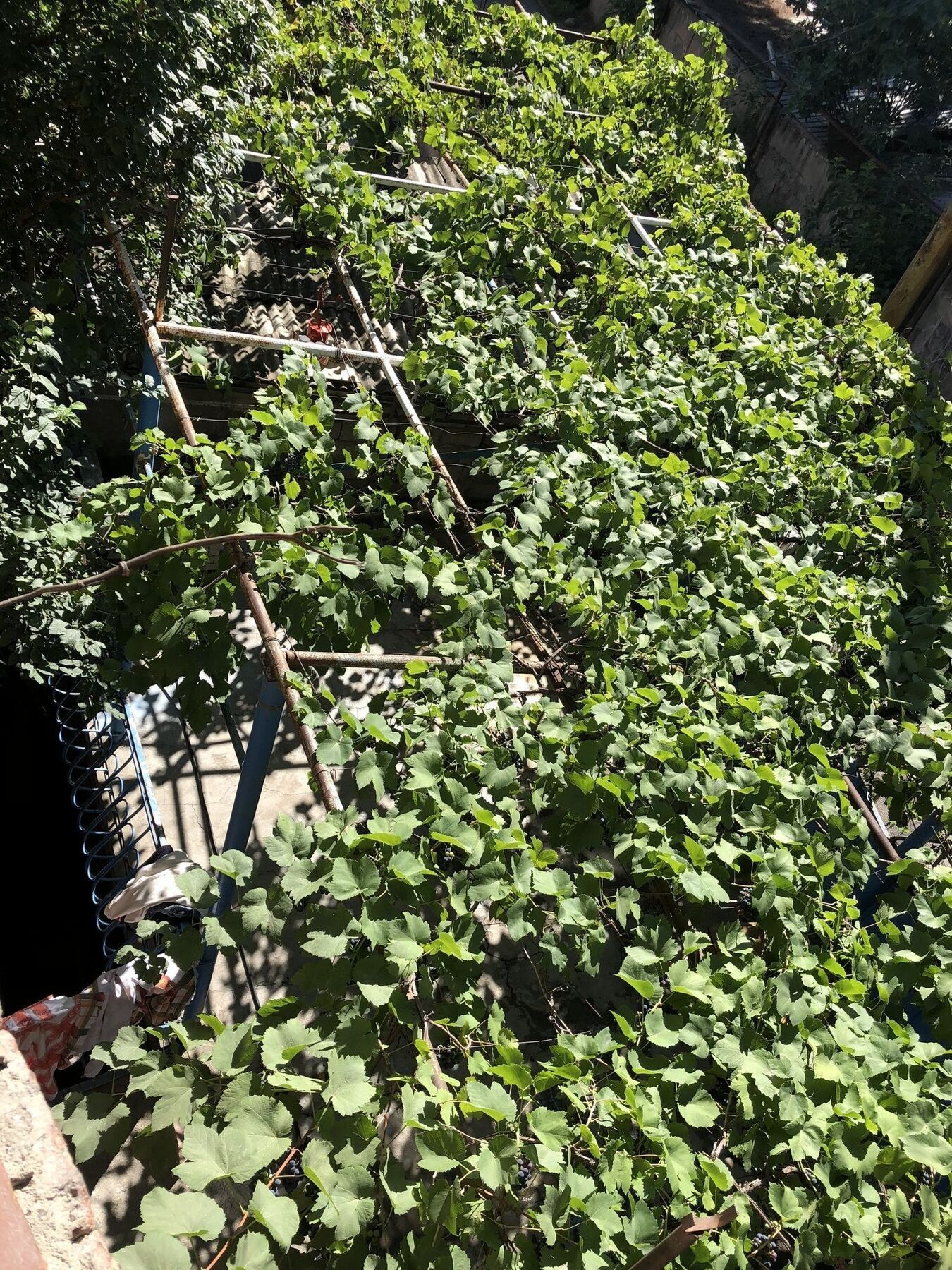 Lucky Family Hotel Tbilisi Zewnętrze zdjęcie